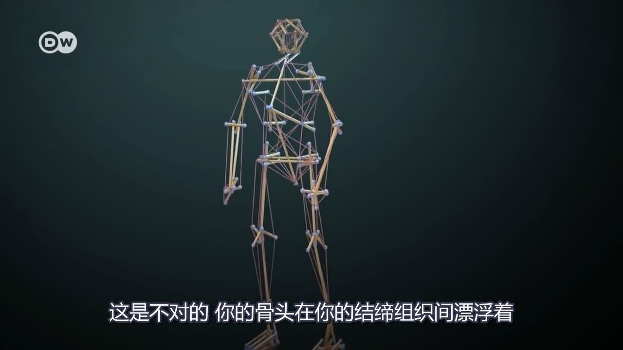 张拉整体模型