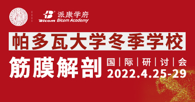 帕多瓦大学第二届（中国）“筋膜解剖冬季学校在线国际研讨会”开始报名